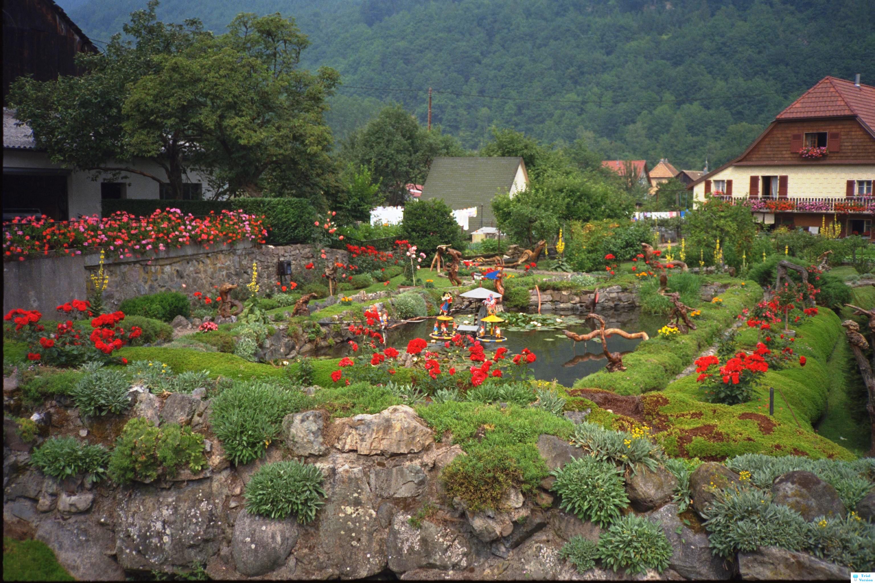 Serious Garden in Alsace